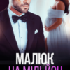 «Малюк на мільйон» Тая Смоленська, Ая Кучер Скачати (завантажити) безкоштовно книгу pdf, epub, mobi, Читати онлайн без реєстрації